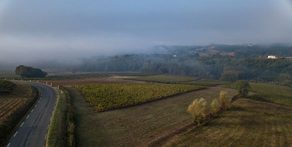 Aerial view, Bordeaux vineyard, landscape vineyard and fog at sunrise south west of france