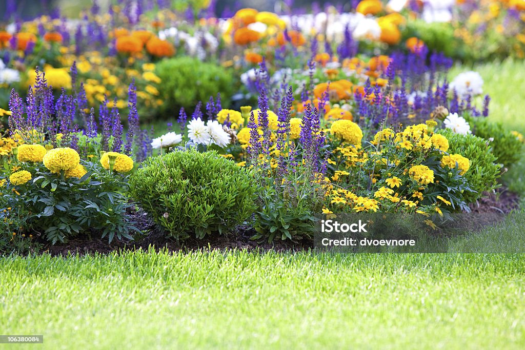 Beautiful multicolored flowerbed on green lawn multicolored flowerbed on a lawn. horizontal shot. small GRIP Flowerbed Stock Photo