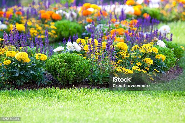 Beautiful Multicolored Flowerbed On Green Lawn Stock Photo - Download Image Now - Flowerbed, Flower, Perennial