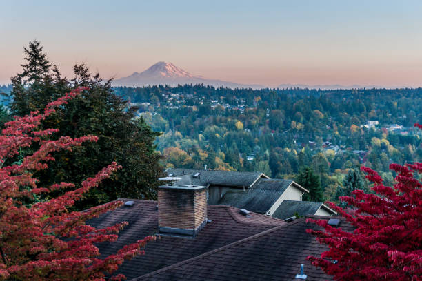 istock Red Leaves Landscape 7 1063804124