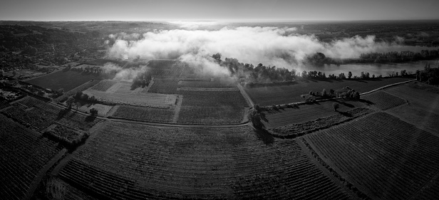 Aerial view Bordeaux Vineyard at sunrise, Entre deux mers, Langoiran, Gironde, France