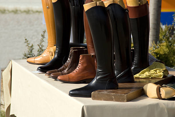 700 Riding Habit Stock Photos, Pictures 