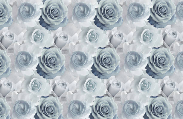 istock 3d wallpaper, beautiful blue roses. 1063807404