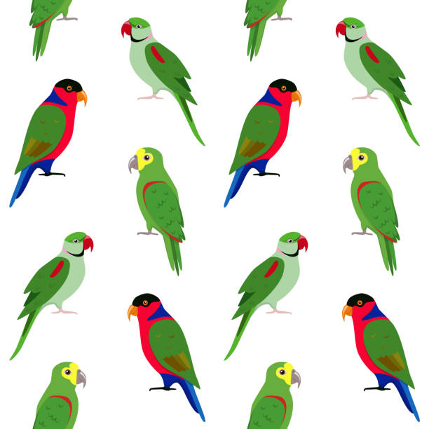 Seamless pattern with colorful parrots Seamless pattern with bright parrots. Repeating background with tropical birds. echo parakeet stock illustrations