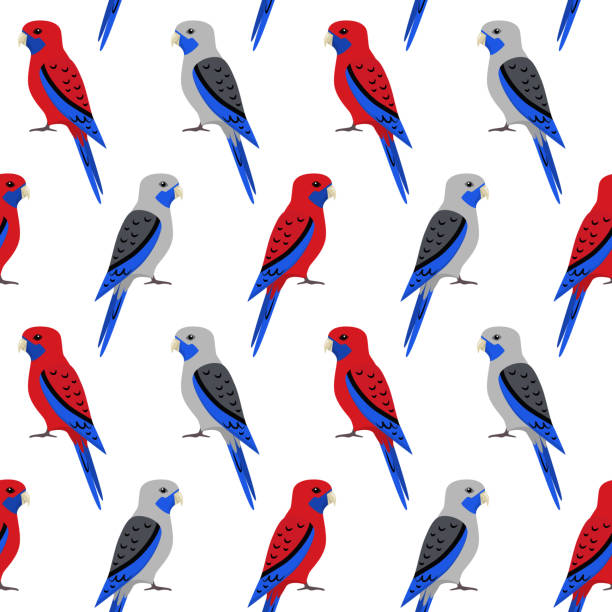 Seamless pattern with rosella parrots Seamless pattern with colorful rosella parrots. Repeating background with bright pet bird symbols. echo parakeet stock illustrations
