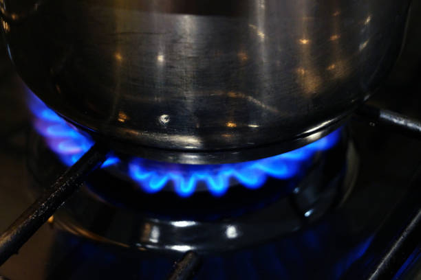istock Gas cooker ring burning blue 1063809920
