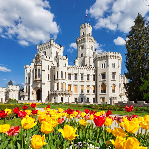 Hluboka nad Vltavou in spring Hluboka nad Vltavou, Czech Republic: Famous Hluboka nad Vltavou castle in clear spring day with tulips in foreground cesky budejovice stock pictures, royalty-free photos & images