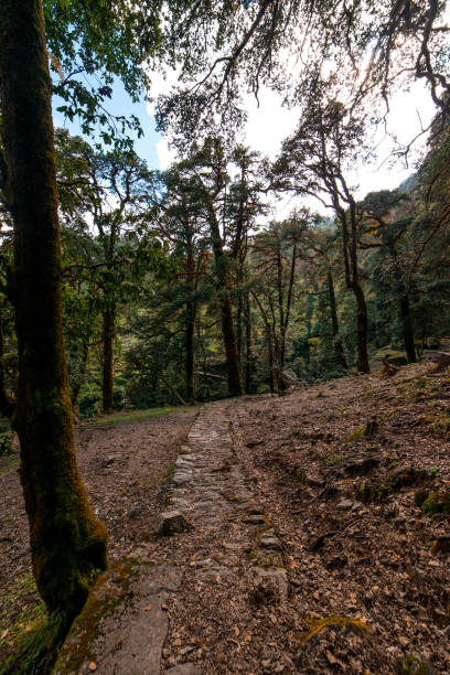 istock Trek in Himalayas - Khaliya Top, Uttarakhand 1063811576