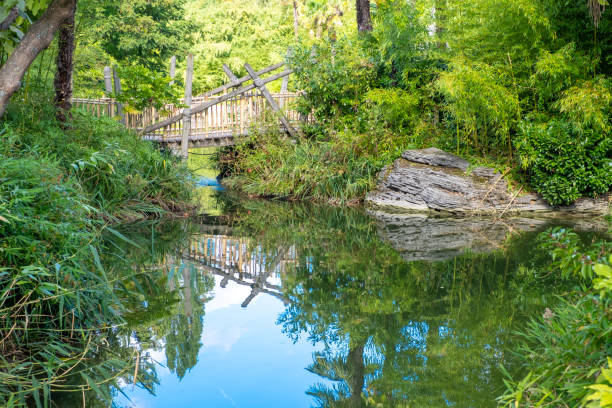 istock river and wood bridge at forest 1063811656