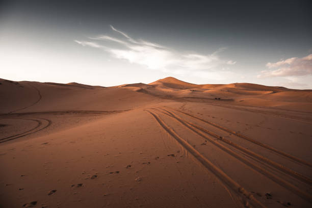 desert sahara at dusk