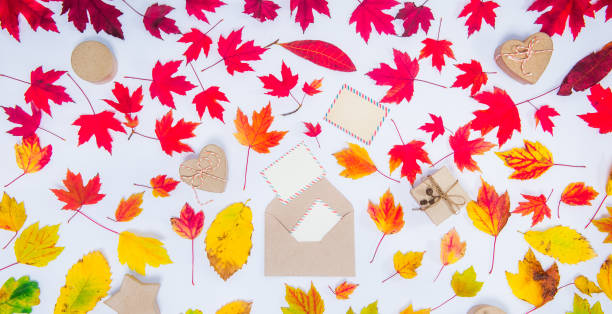 istock Creative Top view autumn flat lay. Develope with flying out blank cards and handcrafted gift boxes on fallen leaves gradient colorful rainbow background. Template sale mockup. Wide banner. Copy space. 1063814122