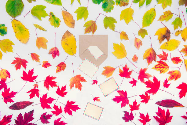 istock Creative Top view autumn composition - blank cards falling out of the craft paper envelope on fallen leaves gradient colorful rainbow background. Template mockup for seasonal sales. Copy space. 1063814150