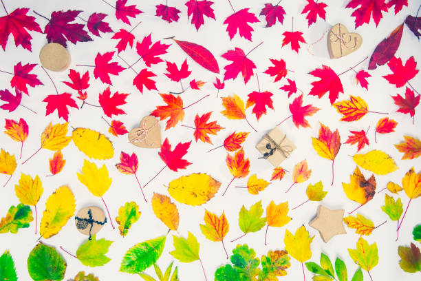 istock Creative Top view flat lay autumn composition - handcrafted gift boxes on fallen leaves gradient colorful rainbow background. Template sale mockup. Shopping concept. Thanksgiving, halloween presents. 1063814266