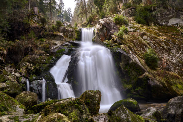 wodospady triberg - black forest waterfall triberg landscape zdjęcia i obrazy z banku zdjęć