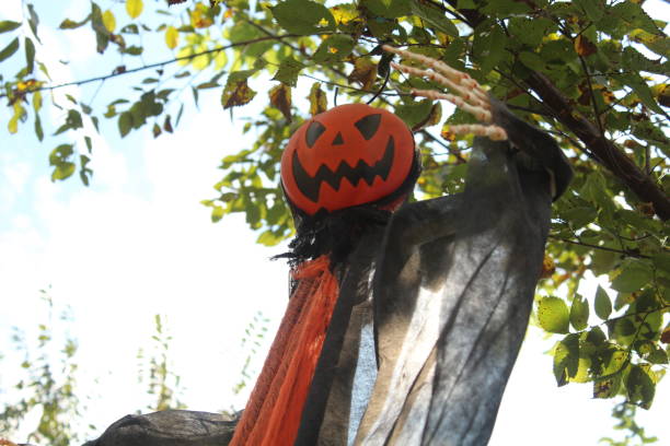 istock A pumpkin monster reaching out from a tree 1063817394