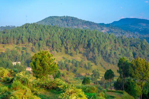 istock Sunrise - Stepping Fields in Bageshwar, Uttarakhand, India 1063817818