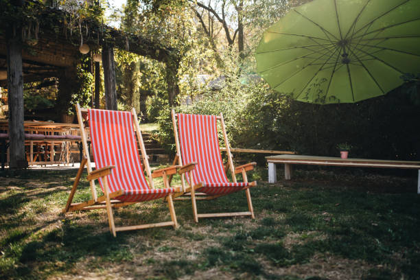 A pair of lounge chairs in a back yard