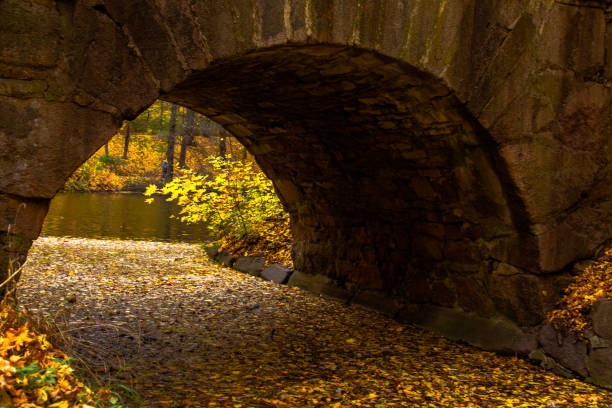 istock autumn park stone arch bridge 1063820910