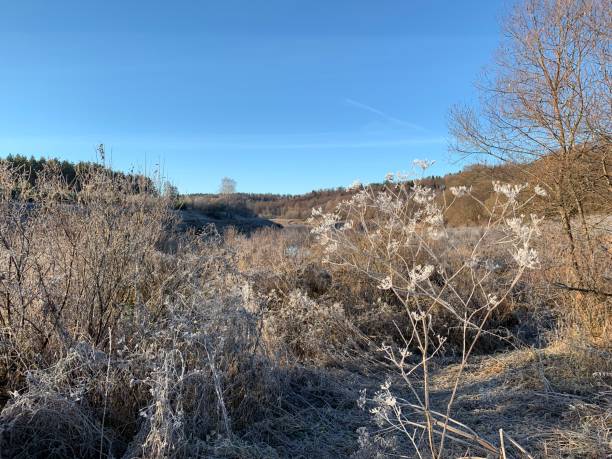 istock Frosty morning rural landscape 1063822940