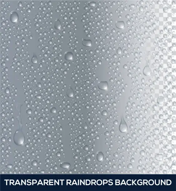 Vector illustration of Vector realistic Background of raindrops. Raindrops on glass. Transparent water drop. Vector illustration