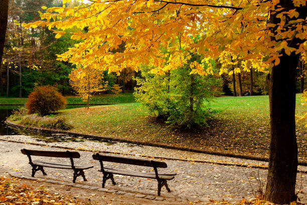 istock Vintage bench in autumn park 1063825134