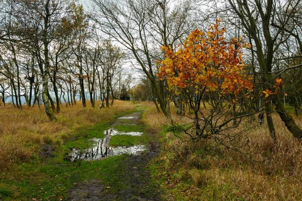 istock Autumn landscape - all beautifully colored 1063825292