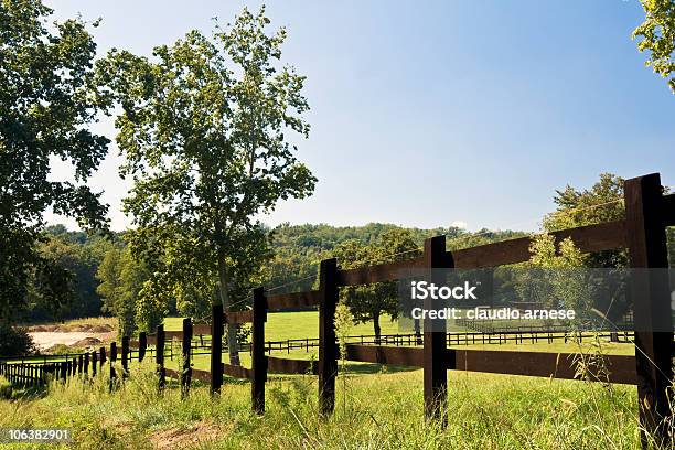 Foto de Paddock Em Uma Fazenda Imagem A Cores e mais fotos de stock de Agricultura - Agricultura, Campo, Cena Não-urbana