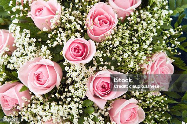 Rose - Fotografias de stock e mais imagens de Bouquet - Bouquet, Cabeça de Flor, Cor de rosa