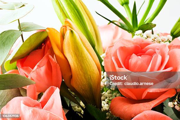 꽃다발 아이리스입니다 컬러 이미지 0명에 대한 스톡 사진 및 기타 이미지 - 0명, 구근 식물, 꽃-꽃의 구조