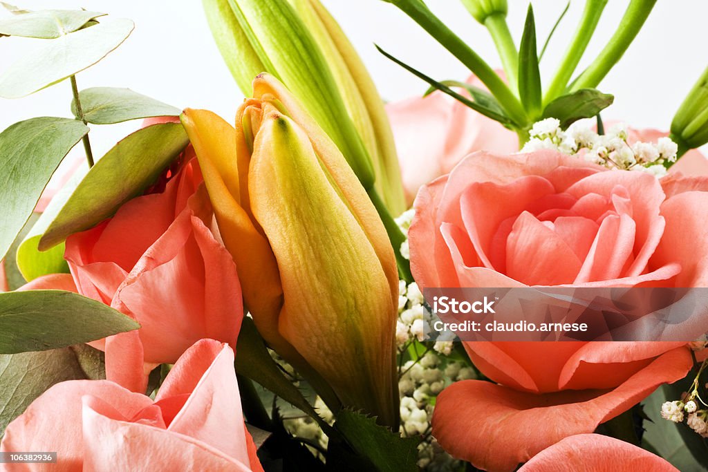 Buquê de flores. Imagem a cores - Foto de stock de Beleza natural - Natureza royalty-free