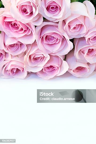 Ramo De Rosas Foto de stock y más banco de imágenes de Aniversario - Aniversario, Belleza de la naturaleza, Buqué