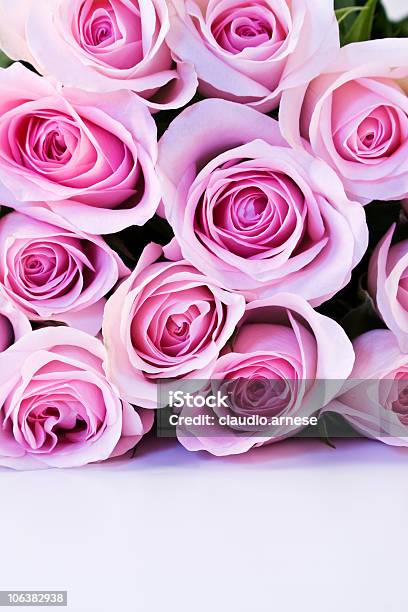 Foto de Buquê De Rosas Imagem A Cores e mais fotos de stock de Doze Rosas - Doze Rosas, Beleza natural - Natureza, Bouquet