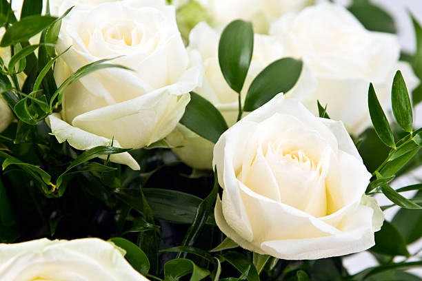 http://italiano.istockphoto.com/file_thumbview_approve.php?size=1&id=4324503