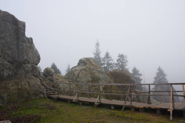 istock Misty landscape with cliffs on a foggy cloudy weather with pines and beech 1063830264