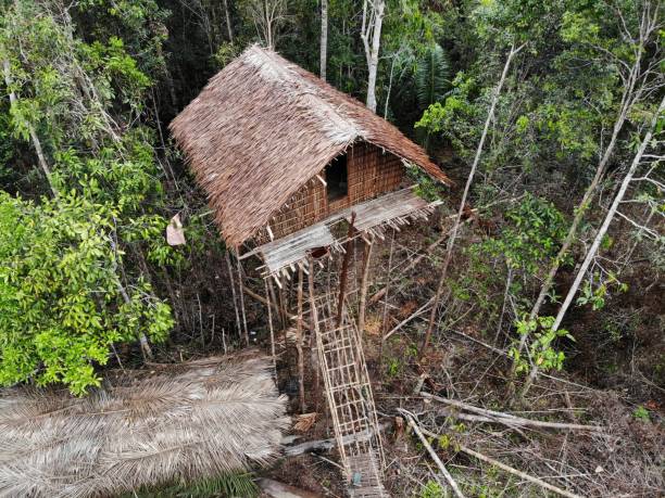 istock Kombai Tree House, Papua, Indonesia 1063831416