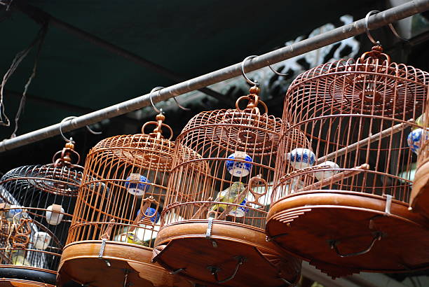 Bird Cages stock photo