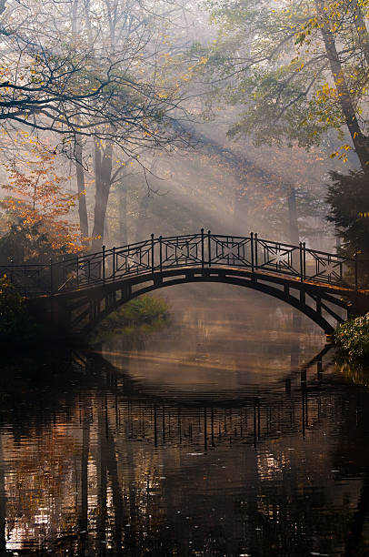 istock Old bridge in misty autumn park 106383566