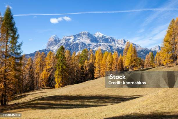 Los Colores Del Otoño En Un Bosque De Abeto Val Di Funes Bolzano Tirol Del Sur Dolomitas Italia Foto de stock y más banco de imágenes de Alerce - Árbol de hoja caduca