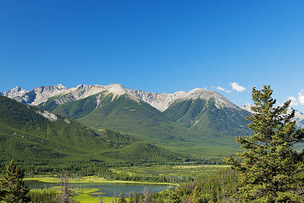 Mountain View of the Canadian Rockies, with Text Space stock photo
