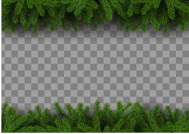 Christmas frame with fir tree EPS10 file. It contains blending objects. Layered. grouped. Includes gradient mesh. garland stock illustrations