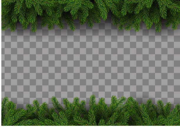 Christmas frame with fir tree EPS10 file. It contains blending objects. Layered. grouped. Includes gradient mesh. evergreen garland stock illustrations