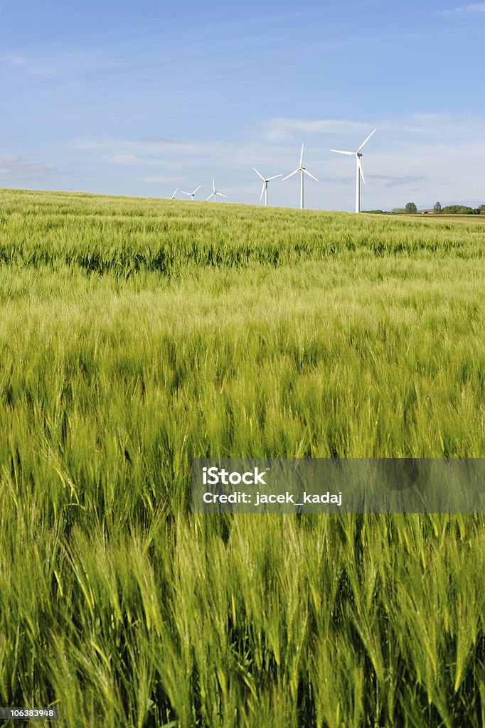 Wind turbine on Bornholm Island  Agricultural Machinery Stock Photo