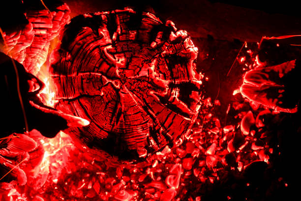 Beautiful coals in the grill. Camping in nature