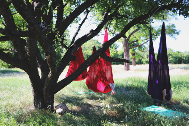 istock Beautiful girl practicing fly-yoga at the tree .Advanced Yoga 1063841162