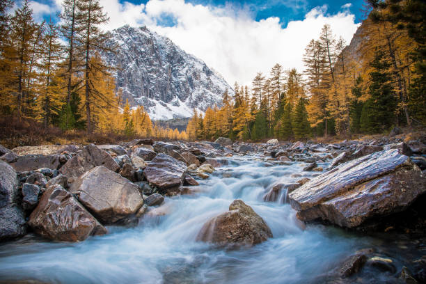 istock The beautiful valley with a fast mountain stream. 1063841334
