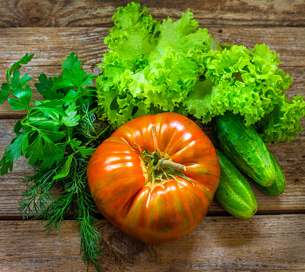 Edible pumpkin of the variety Patisson