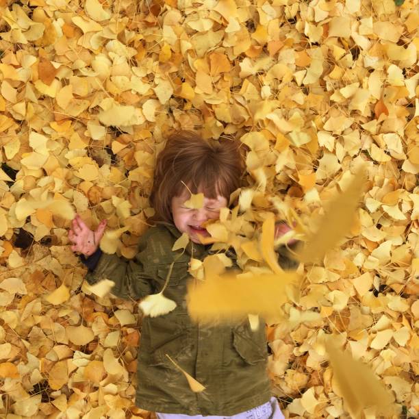 istock Toddler boy portrait 1063846432