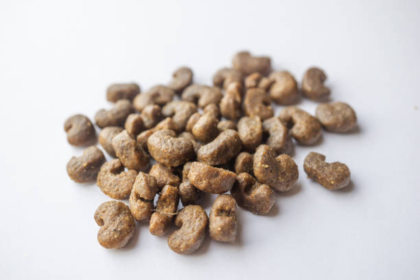 istock Cat food isolated on a white background 1063849354