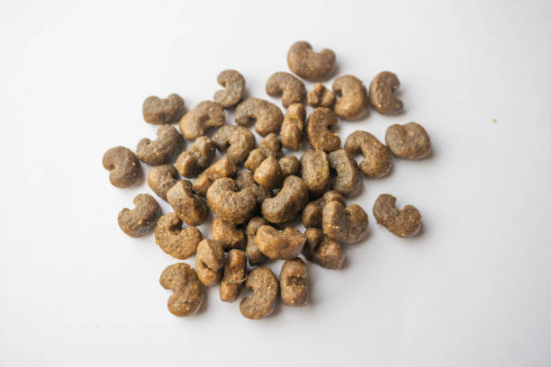 istock Cat food isolated on a white background 1063849360