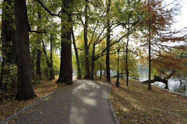 istock Tortuous alley in the park 1063859566